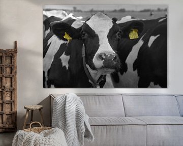 Koeien zwart/wit van Henk Hartzheim