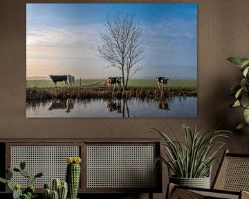 Koeien aan de waterkant in Friesland van Yvonne van Driel