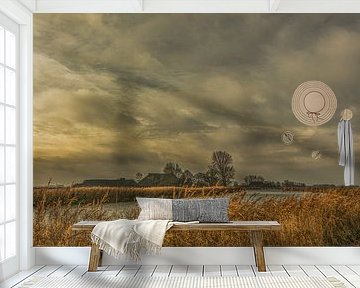 friesland van anne droogsma