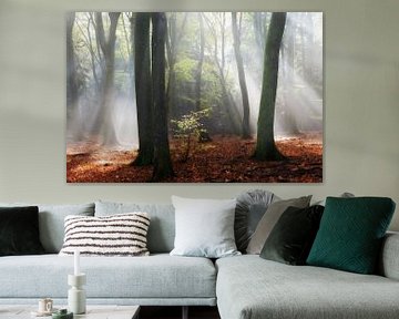 Speulderbos van Ingrid Van Damme fotografie