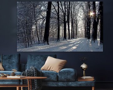 Zonlicht in besneeuwde bomenlaan in de winter van J.A. van den Ende