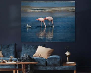 flamingo's in Chili von Eline Oostingh