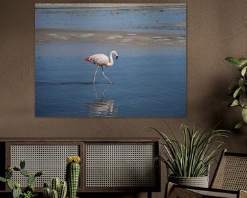 flamingo's in Chili by Eline Oostingh