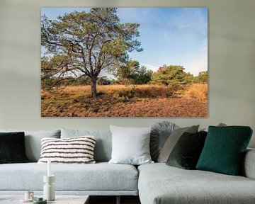 Grove den op de voorgrond van een Nederlands natuurgebied in de herfst