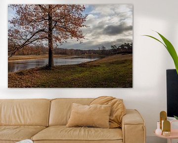 Image pittoresque d'un lac hollandais en automne