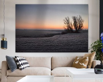 Holland winter landschap von Rico Drost