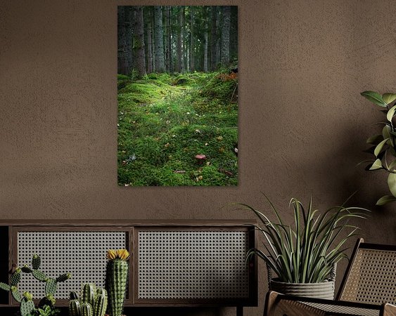 Aperçu de la chambre