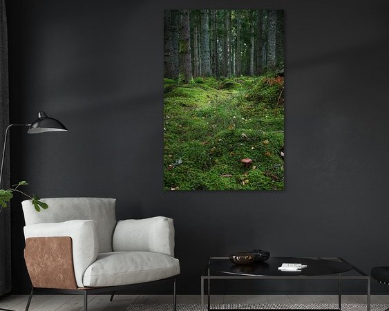 Aperçu de la chambre