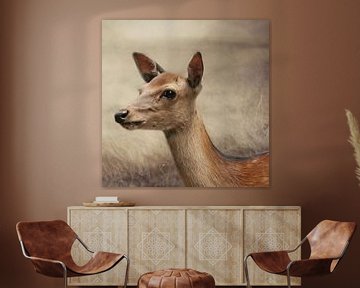 Roe deer by Heike Hultsch