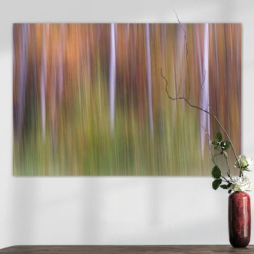 Tanzender Birkenwald