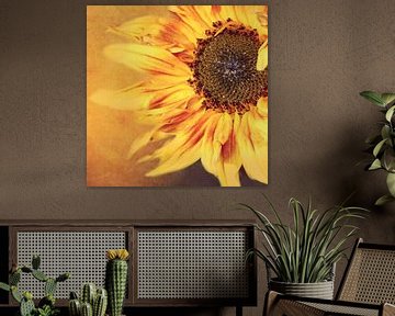 Sonnenblume von Heike Hultsch