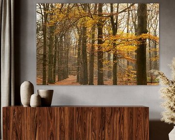 Sentier forestier hollandais en automne sur Peter Haastrecht, van