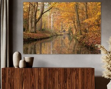 Holländischer Waldweg im Herbst von Peter Haastrecht, van