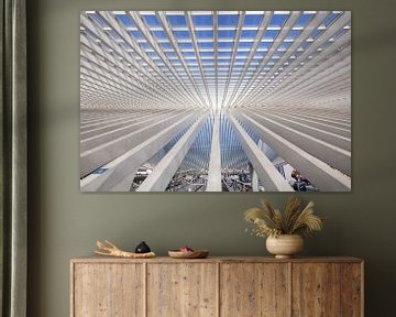 Guillemins rooftop van Wanda Michielsen