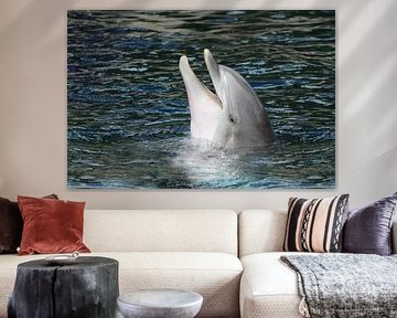 Lachender Delphin
