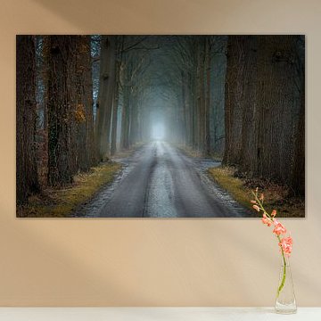 Van herfst naar winter