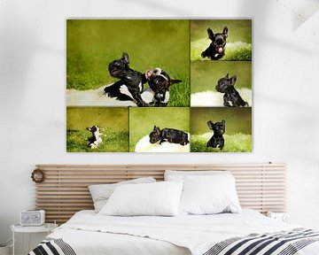 Collage Französische Bulldoggenwelpen van Heike Hultsch