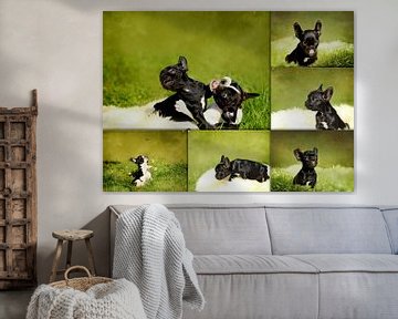 Collage Französische Bulldoggenwelpen van Heike Hultsch