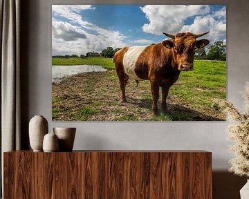 Lakenvelder koe poserend voor Unesco-erfgoed Schokland van Susan van der Riet