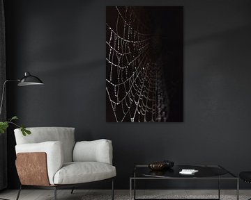 Spinnenweb met druppels zwarte achtergrond von Sascha van Dam