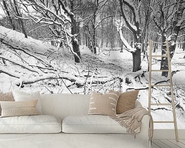 Winterlandschap van Dalex Photography