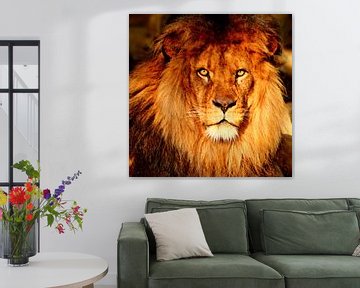 Lion portrait by Heike Hultsch