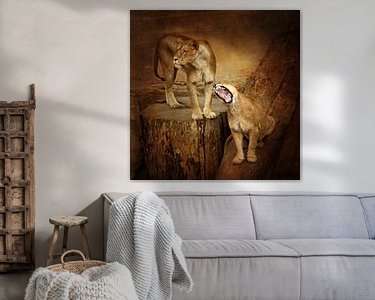 Aperçu de la chambre