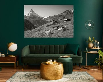 Koeien Findelen Zermatt Matterhorn van Menno Boermans