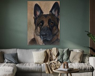 German Shepherd