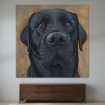Labrador Retriever zwart portret