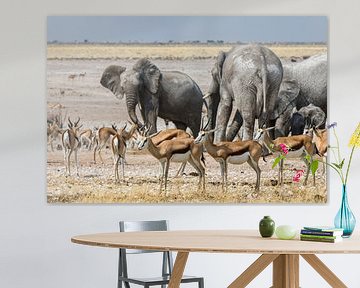 Impala's  en olifanten van Henri Kok