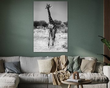 Giraffe in Etosha NP van Henri Kok