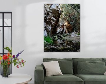 Avakas Gorge in Cyprus von Desiree Francke