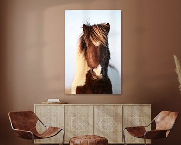 Pony by Jana Behr