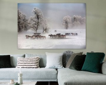 Konikpaarden in winters landschap von Ger Loeffen
