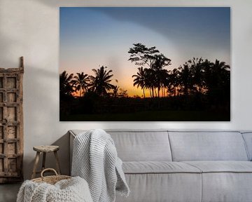 Silhouette de cocotier au coucher du soleil de Bali