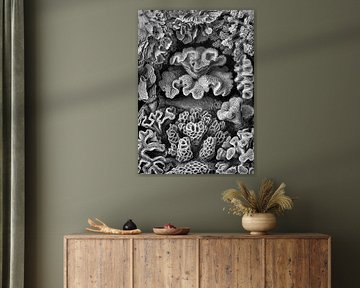 The Hidden Fish von Marja van den Hurk