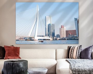 Erasmus brug in Rotterdam