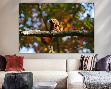 Oeps, ik heb ineens zo'n jeuk!