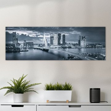 Skyline Rotterdam Erasmus Bridge - Metallic Grey