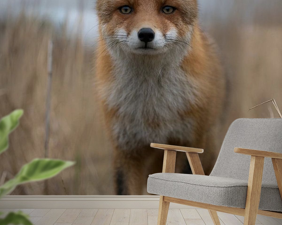 Raumvorschau