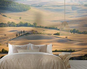 Tuscan farm on a hill by Gerhard Nel