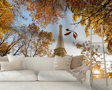 Fall in Paris van Gerhard Nel