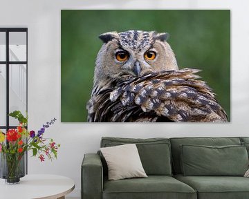 Eurasian Eagle Owl ( Bubo bubo ), head shot van wunderbare Erde