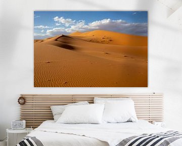 Woestijnen en Zandduinenlandschap bij Zonsopgang, de Sahara, Afrika