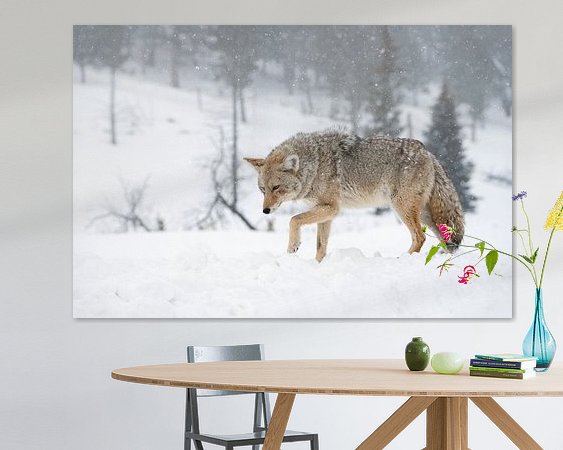 Aperçu de la chambre