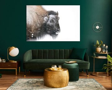 American Bison ( Bison bison ) in winter, headshot van wunderbare Erde