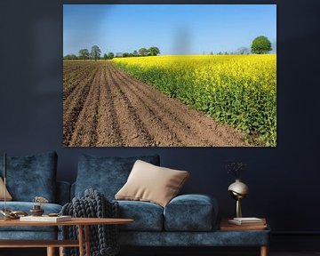 Dutch landscape with plowed field and yellow flowering field of rapeseed plants sur Ben Schonewille