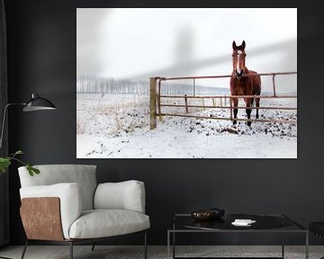 Winter Horse van Steven De Baere