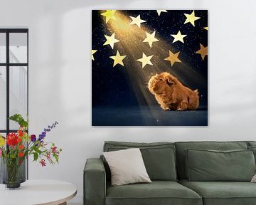 Le cochon d'Inde observe les étoiles sur Marloes van Antwerpen